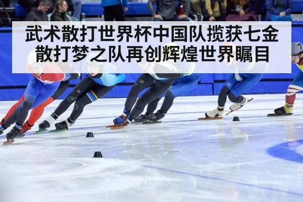 武术散打世界杯中国队揽获七金 散打梦之队再创辉煌世界瞩目
