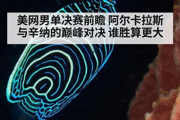 美网男单决赛前瞻 阿尔卡拉斯与辛纳的巅峰对决 谁胜算更大